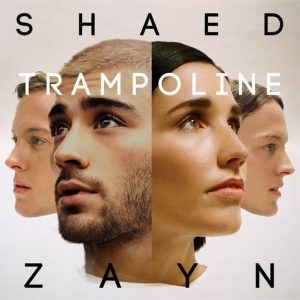 Shae & Zayn – Trampolined